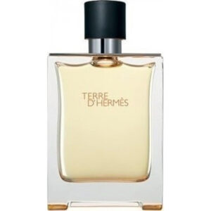 Hermes Terre D' Hermes Eau de Toilette 100ml(Tester)