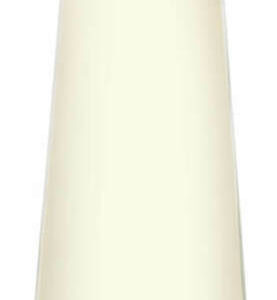 Issey Miyake L'eau D'issey Eau de Parfum Refillable 25ml